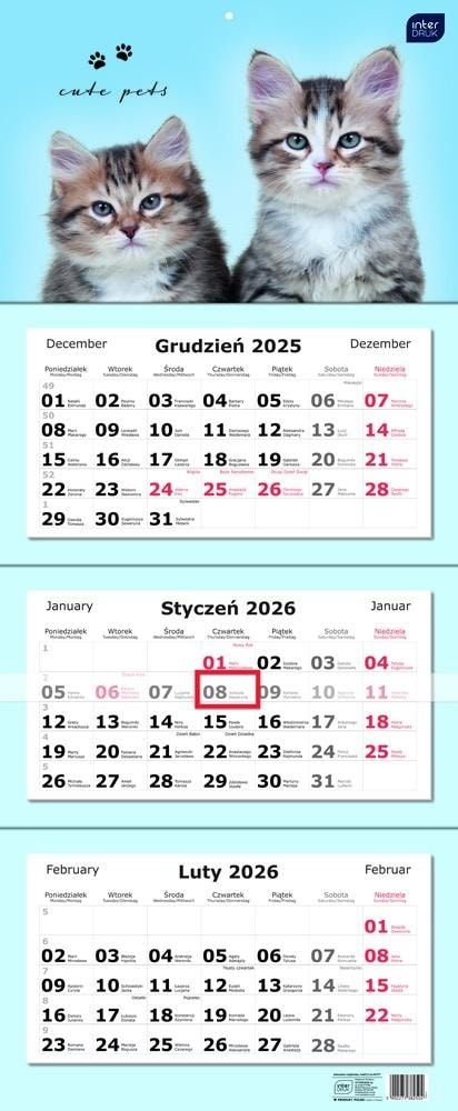 Calendar 2026 three-part Cats - ideal for planning with a cute theme