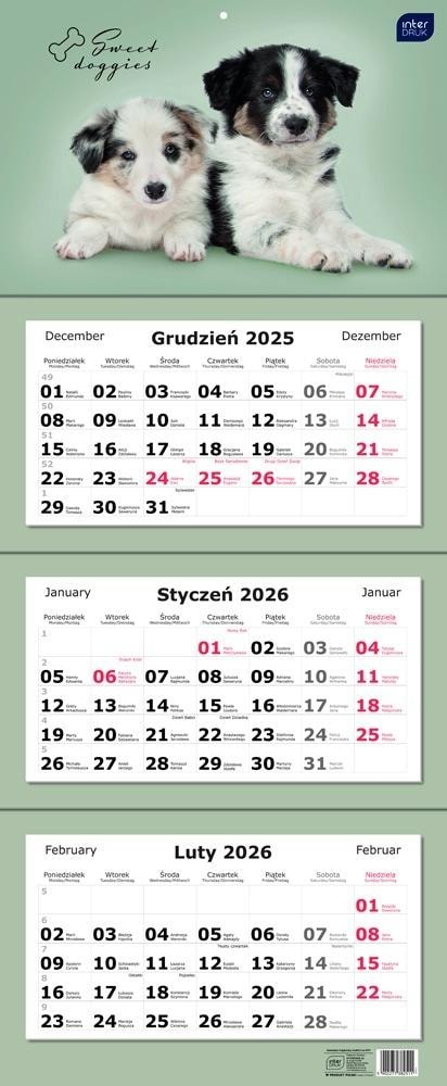 Calendar 2026 three-part - Dogs - Plan the year with cute pets!