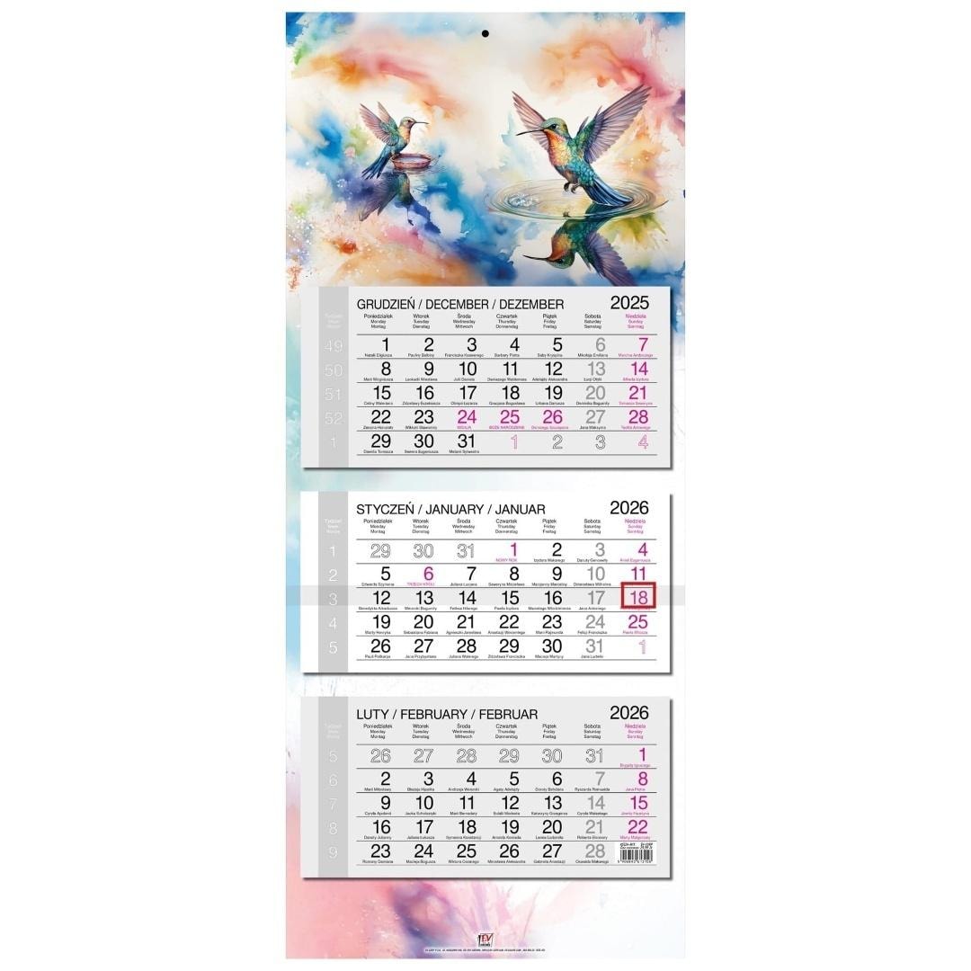 Calendar 2026 three-part flat head Hummingbird - ideal for planning