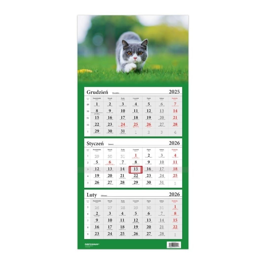 Helma Three-part calendar 2026 British Shorthair - perfect gift for cat lovers