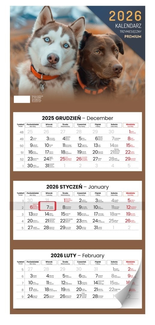 Kalendarz 2026 ścienny trzymiesięczny Premium 1szt.mix