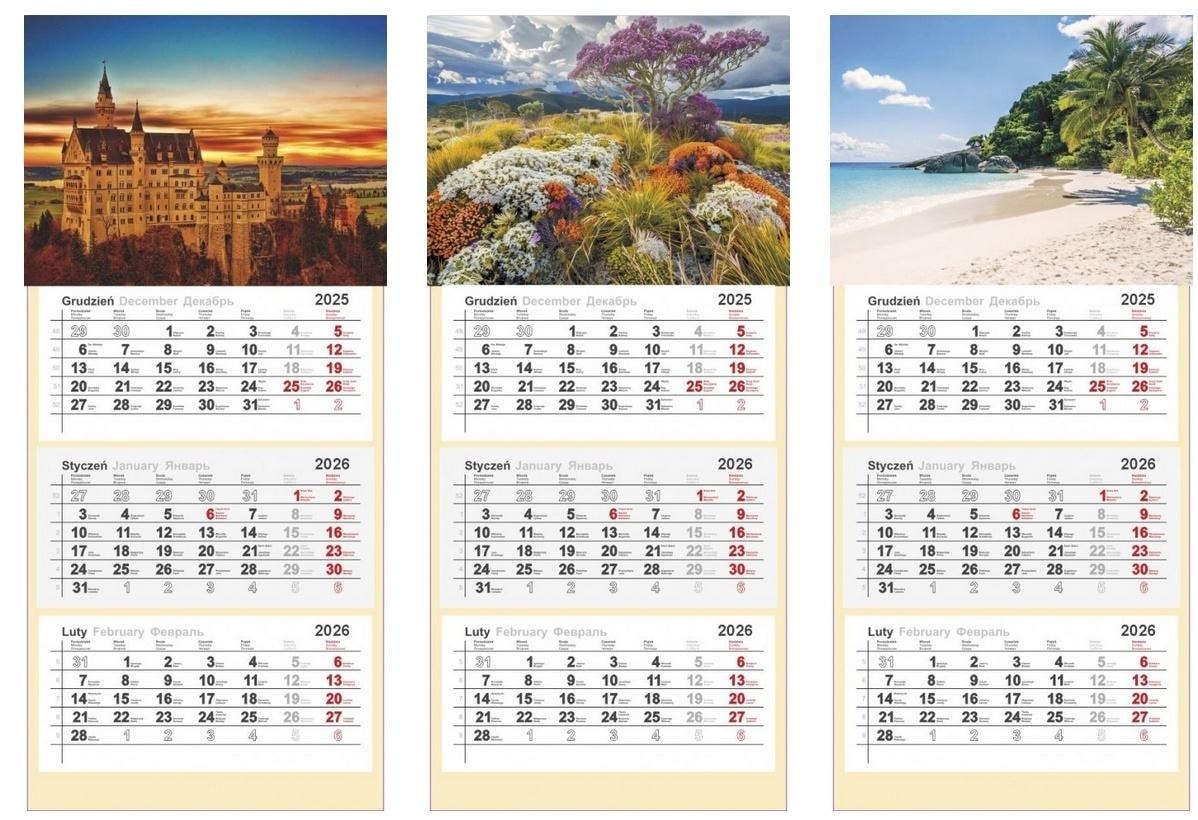 Panta Plast Three-part calendar 2026 - mix of designs, perfect for planning