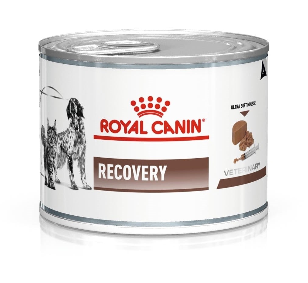 ROYAL CANIN Veterinary Recovery - wet food for dogs and cats - 195 g - recovery support