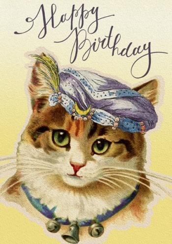 Madame Treacle Birthday card B6 - Kitten fairy with envelope