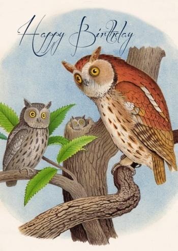 Madame Treacle B6 Birthday card with envelope Owl