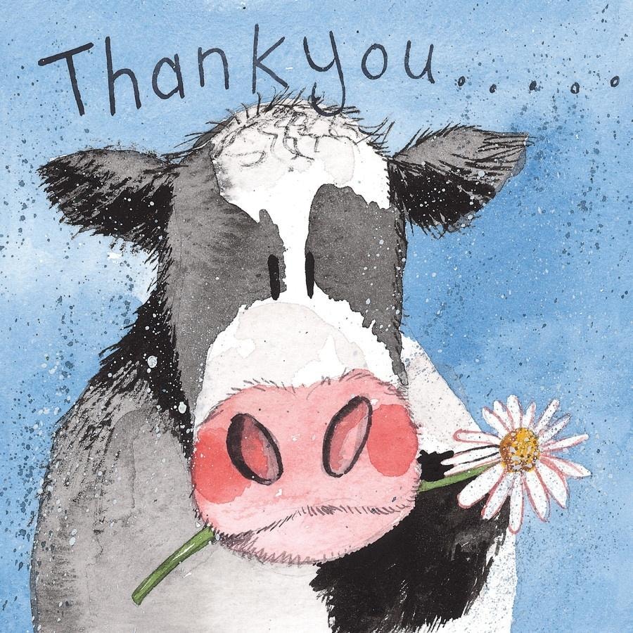 Alex Clark Thank You Cow Card - A unique way to say thank you