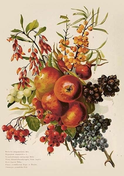 Greeting card ST515 B6 + envelope Autumn bouquet - perfect for any occasion