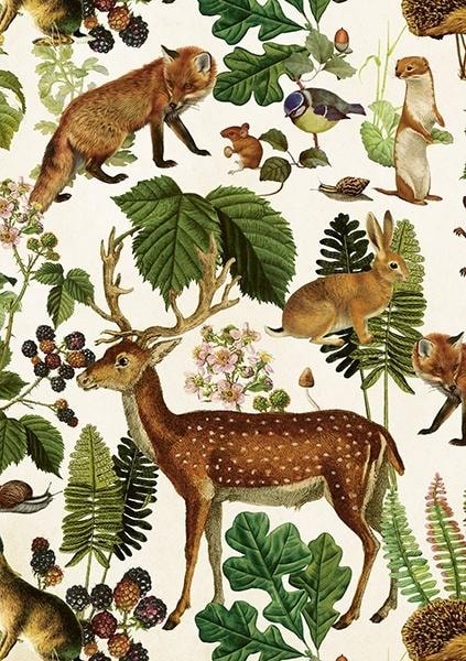 Skona Ting Card B6 + envelope Forest animals - perfect as a gift