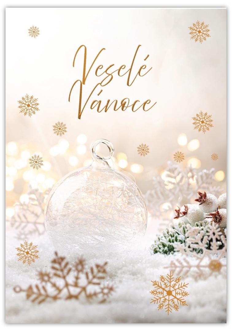 Merry Christmas Card - Unique Christmas Gift