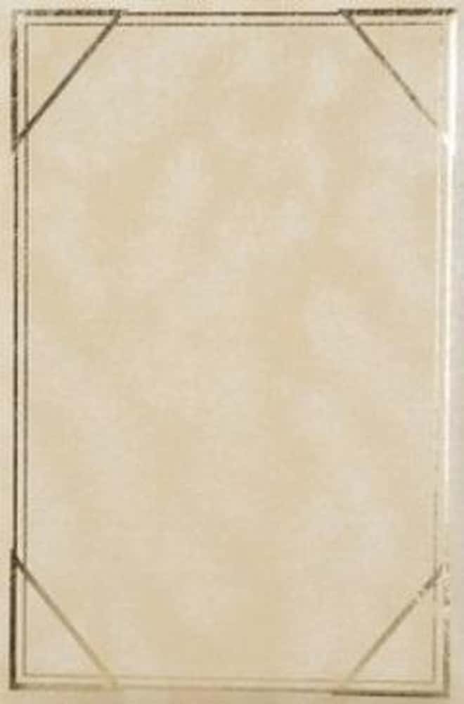 Vinyl 3 Pocket photo album stitched - 300 photos