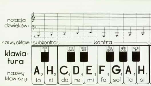 Foldable Paper Keyboard - Ideal for beginner musicians