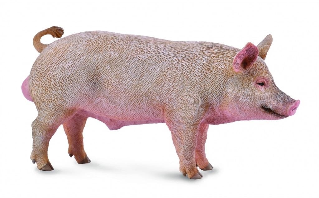 Collecta Boar Figurine - Realistic Animal Model for Collectors