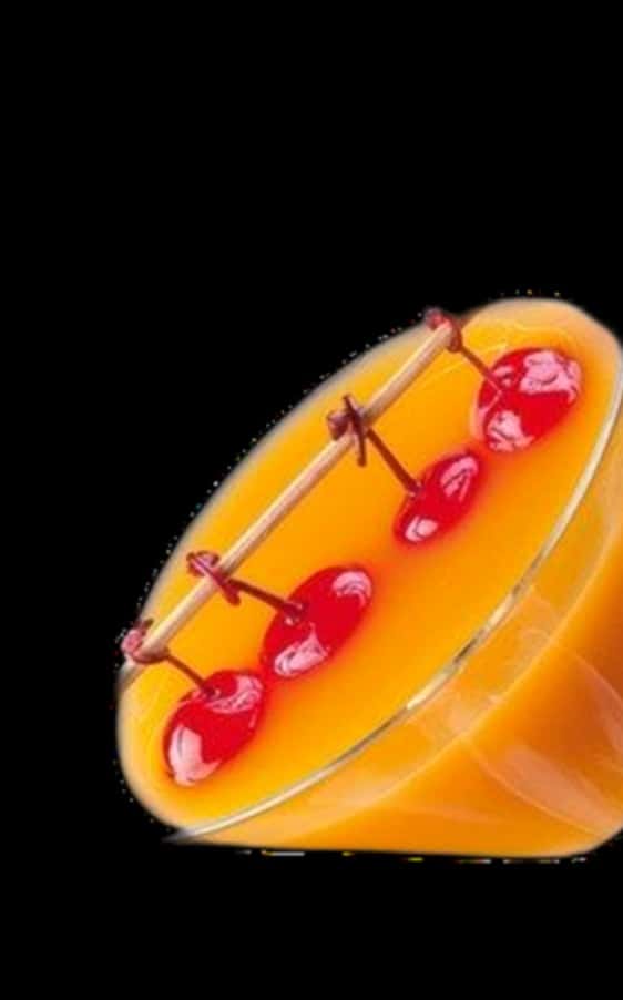 Davide Manzoni Wine Cocktails - inspiring recipes with wine