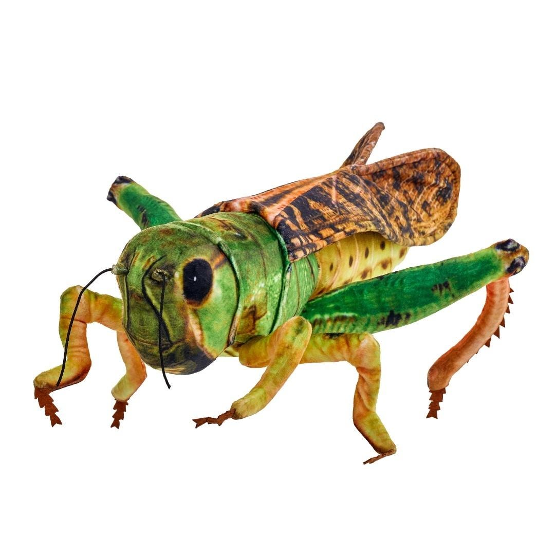 Plush grasshopper 41 cm - soft toy for children