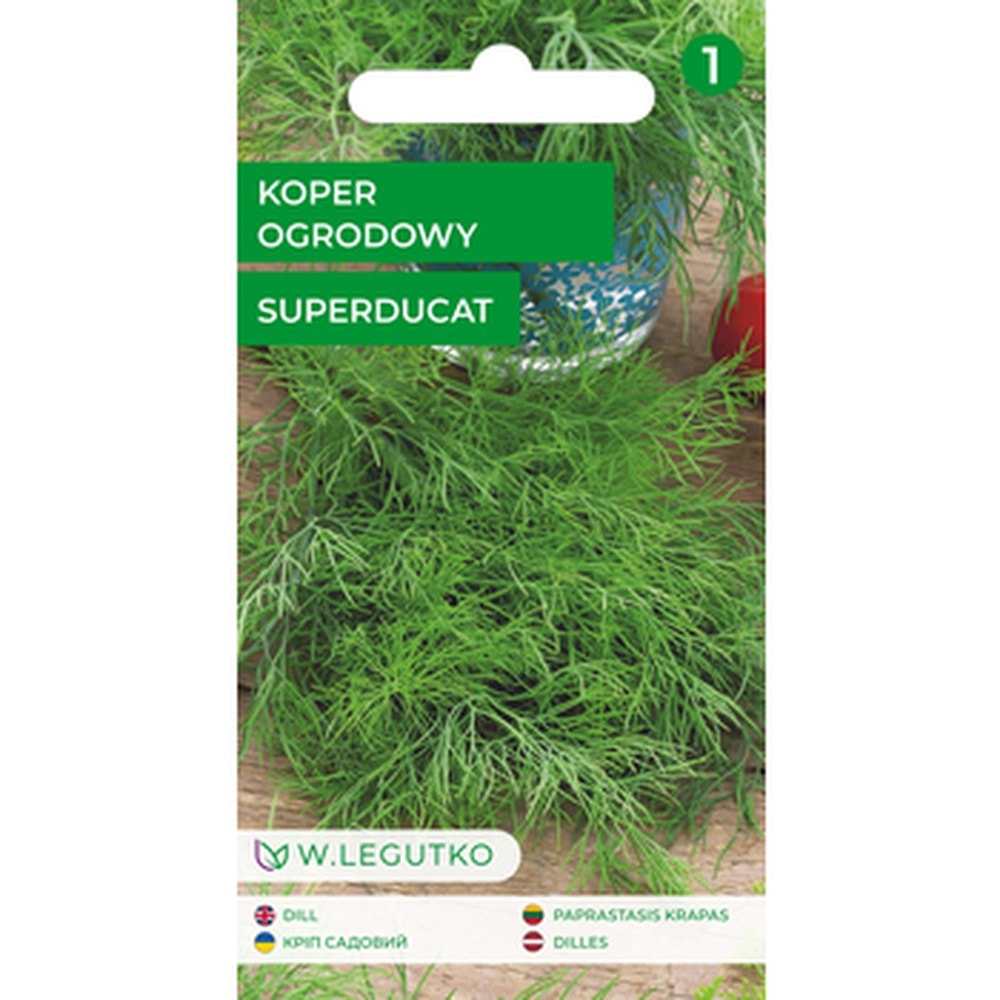 Legutko Dill Superdukat - early variety for your garden