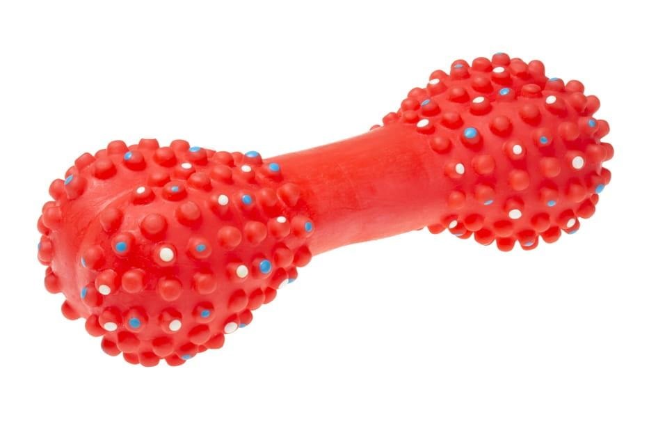 Nefi Squeaky bone with spikes for dogs 16.7 cm MIX - perfect toy for your pet