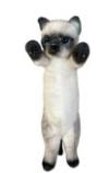 Standing Siamese cat 25cm - the perfect addition to your home