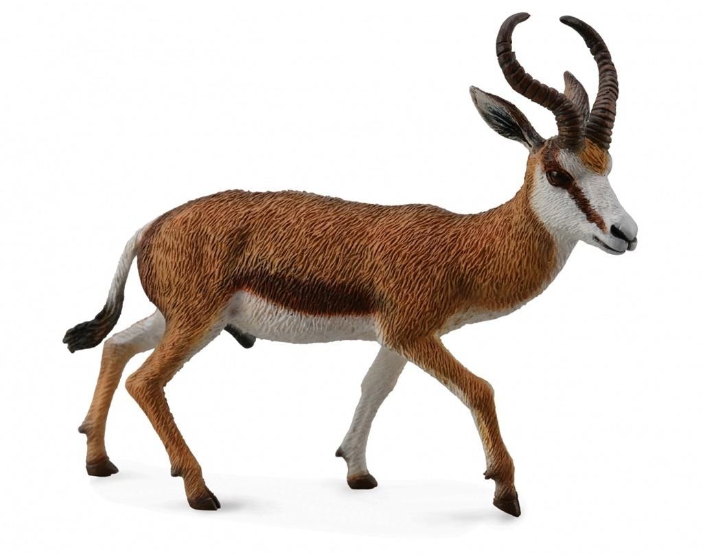 Collecta Springbok Antelope - Collectible figurine for nature lovers