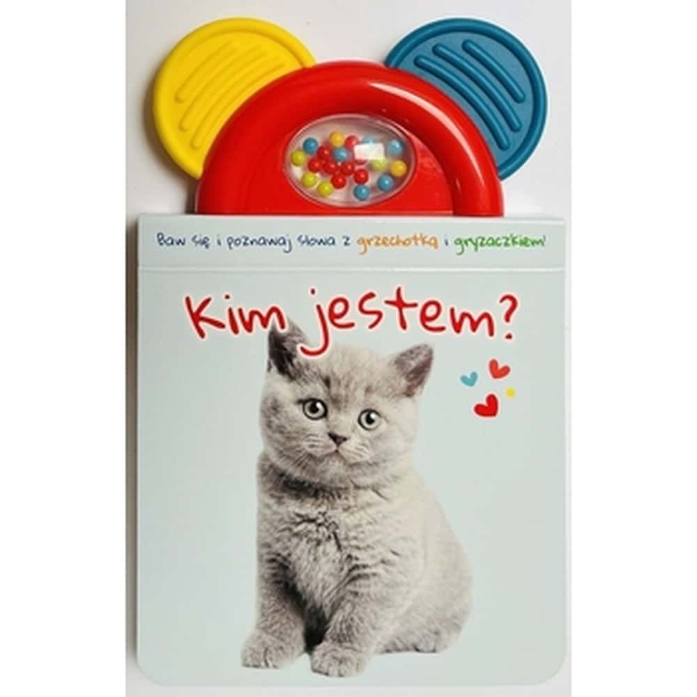 Book with rattle and teether - educational fun for babies