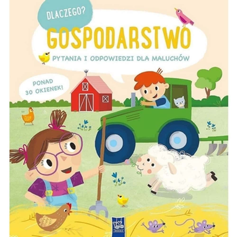 Why? Questions and Answers - Children's book full of knowledge