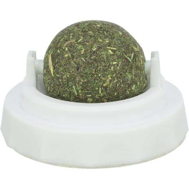 Catnip ball with holder - perfect toy for every cat