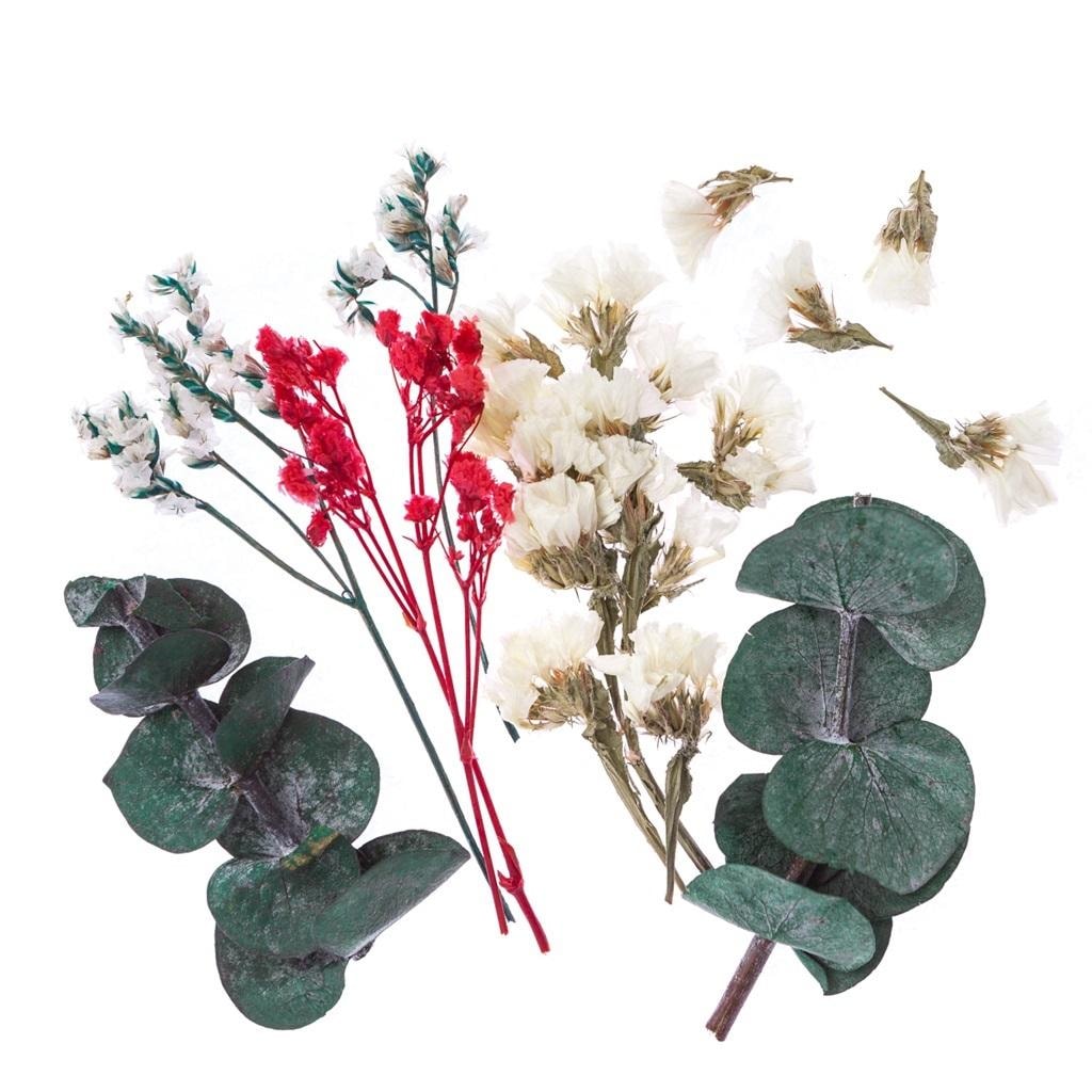 Dried decorative flowers ecru pink - ideal for arrangements and scrapbooking