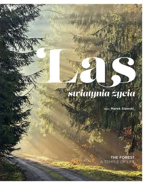 Forest Temple of Life - album with photos by foresters