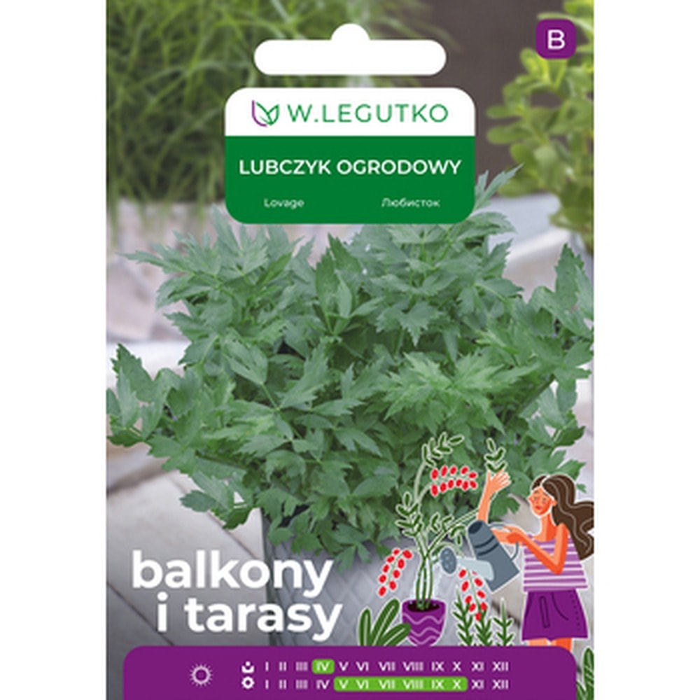 Legutko Garden Lovage - aromatic spice for your kitchen