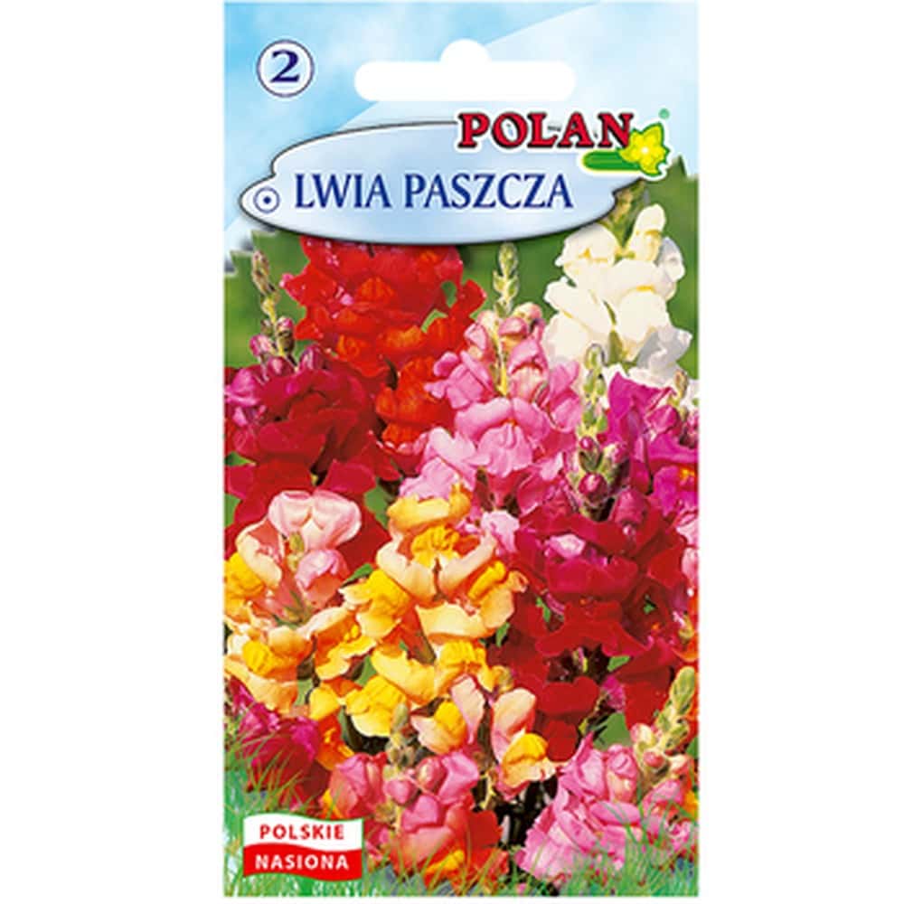 Snapdragon Mix - Annual flower seeds for your garden