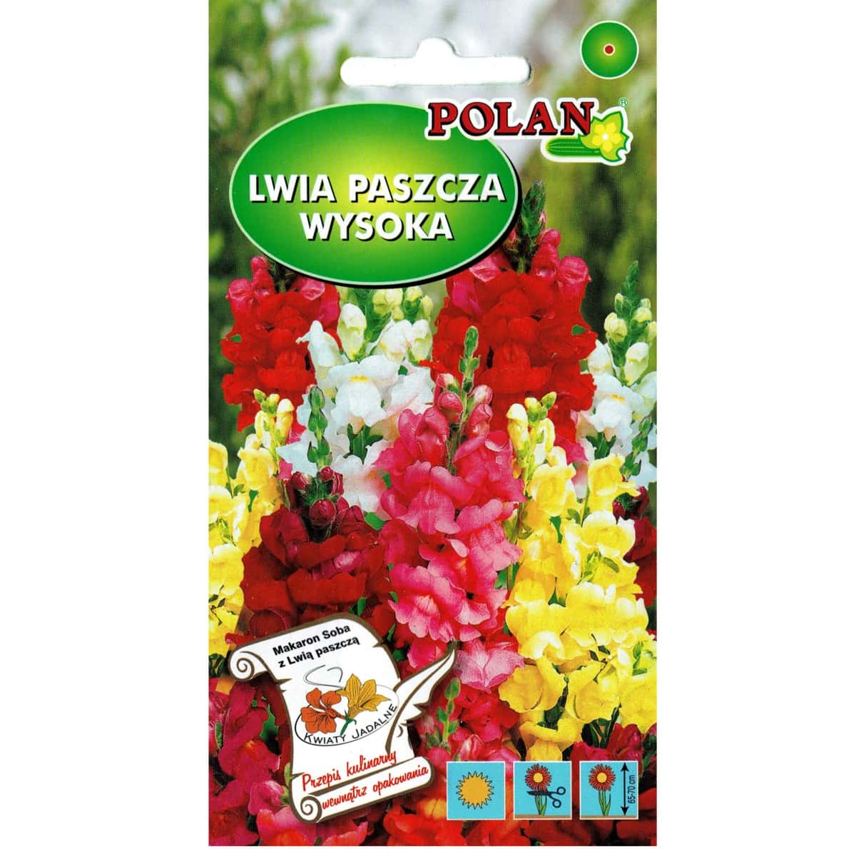 PlantiCo Tall snapdragon mixture of flowers - colorful garden