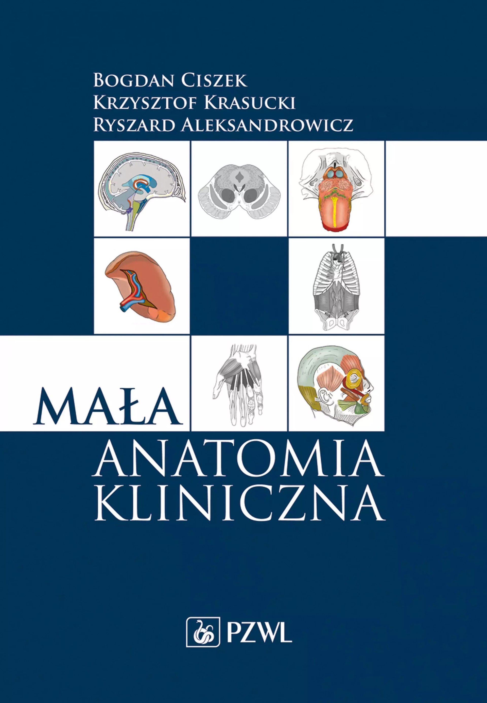 Small clinical anatomy - a practical textbook for medical students