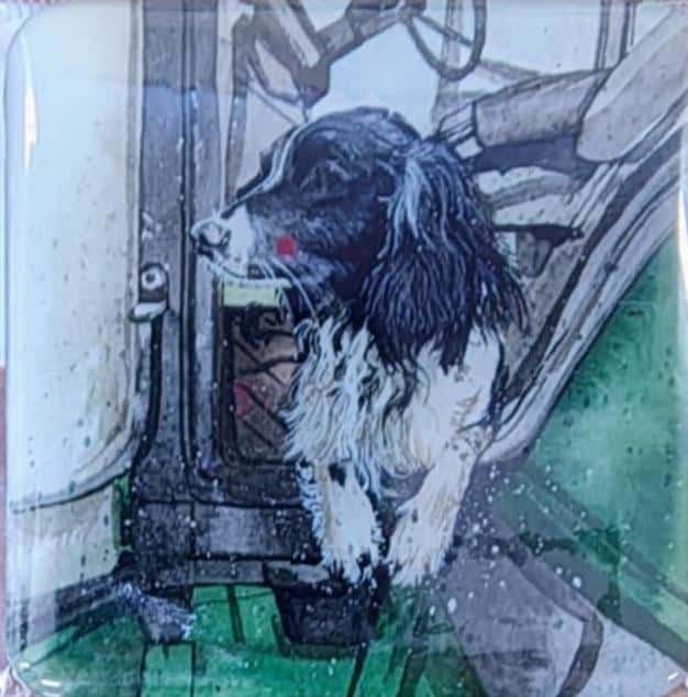 Magnet FM256 Dog Austin - decorative fridge magnet