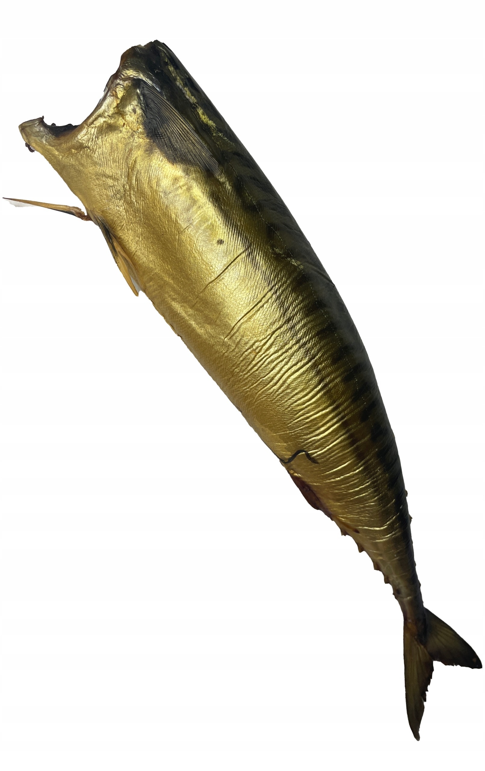 CON. Smoked Mackerel - Traditional taste in every bite, ideal for lunch