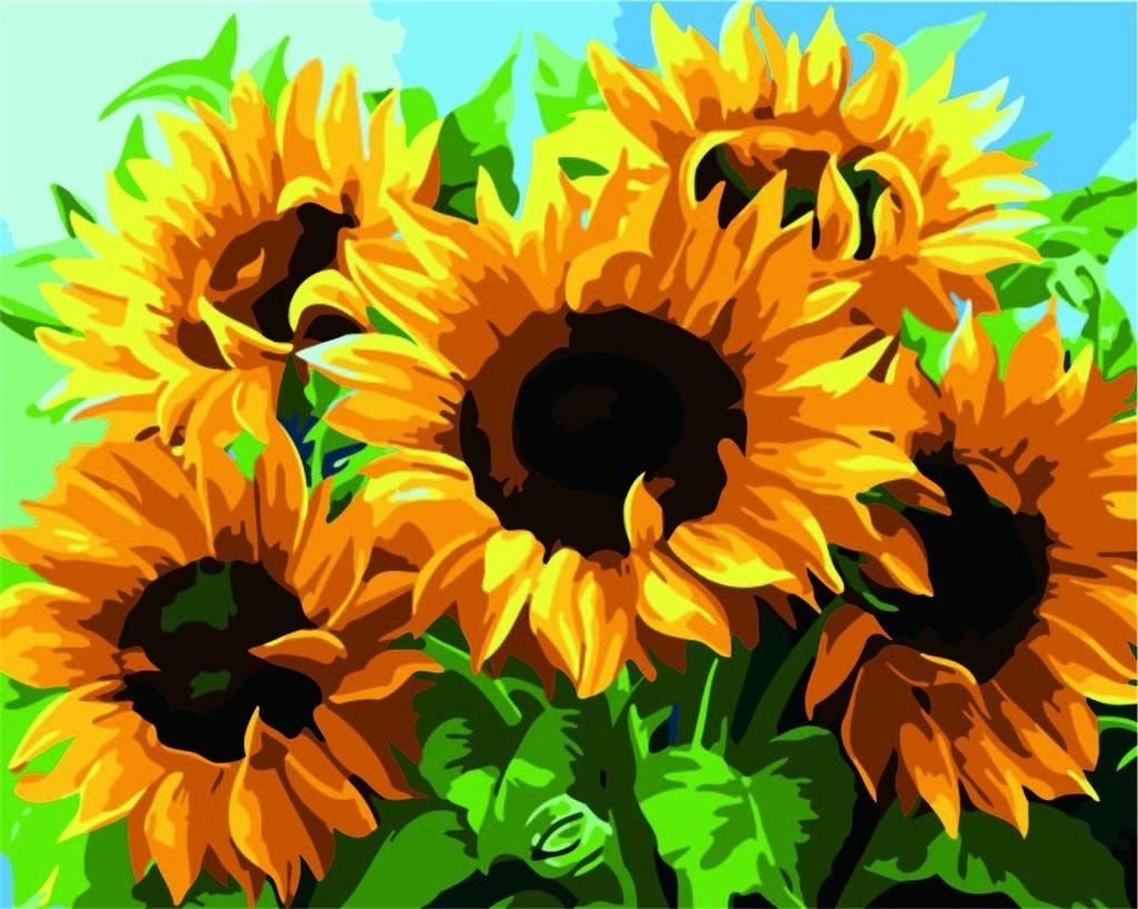 Painting by numbers - Sunflowers 40x50 cm - create your own masterpiece