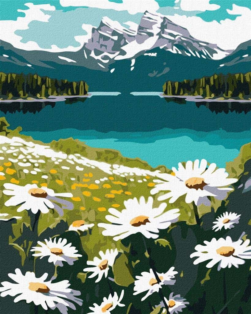 Ideyka Painting by Numbers 40x50 cm - Blooming Daisies for everyone!