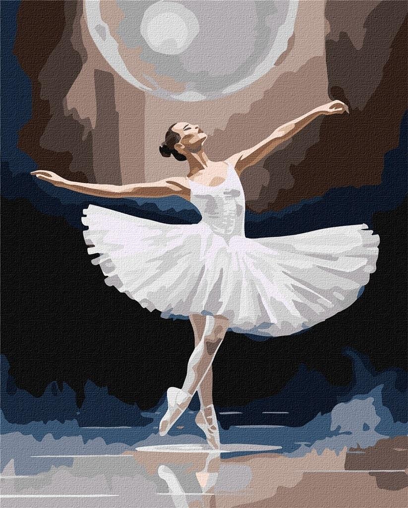 Ideyka Painting by numbers - Graceful beauty 40x50cm - create your own masterpiece