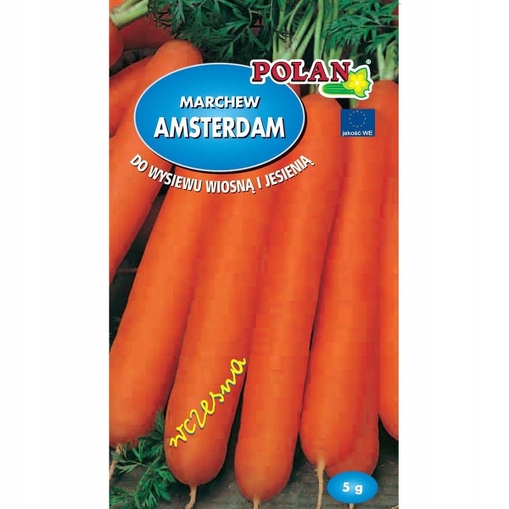 Carrot Amsterdam Polan - seeds ideal for your garden