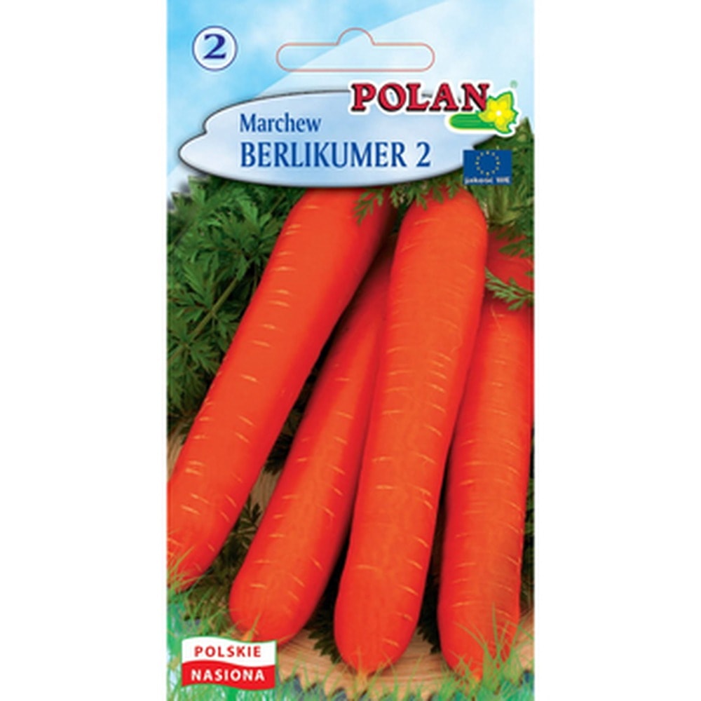 Berlikumer Polan Carrot - late variety ideal for storage