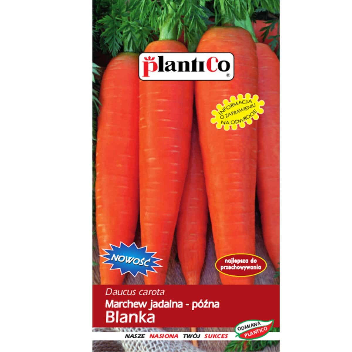 Plantico Carrot Blanka - late variety for direct consumption