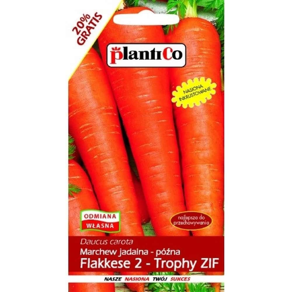 Plantico Flakkese Carrot - late variety for your garden