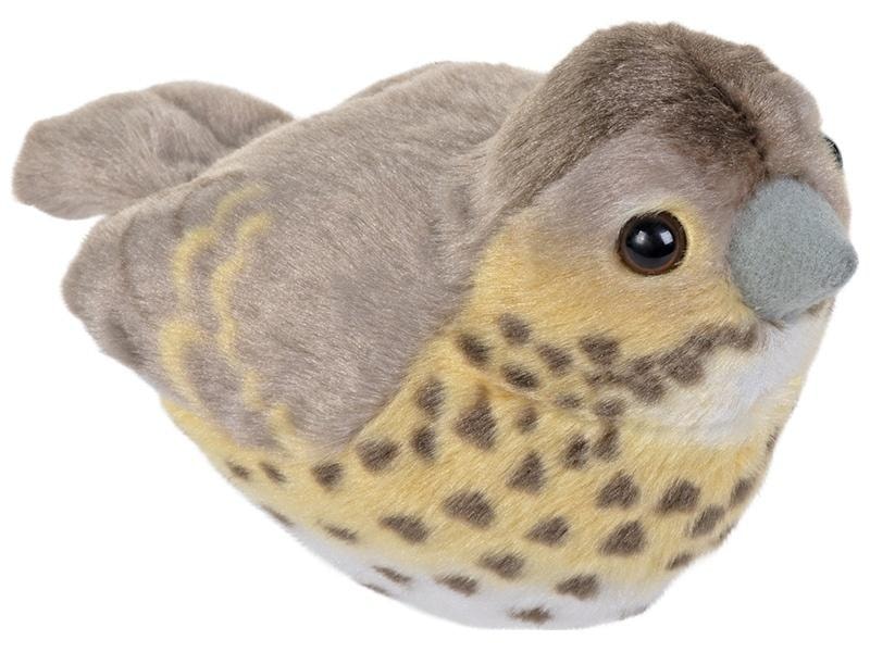 Song Thrush Plush Toy - Plush bird with natural sound