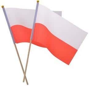 Fabric flag on a stick - perfect for holidays and celebrations