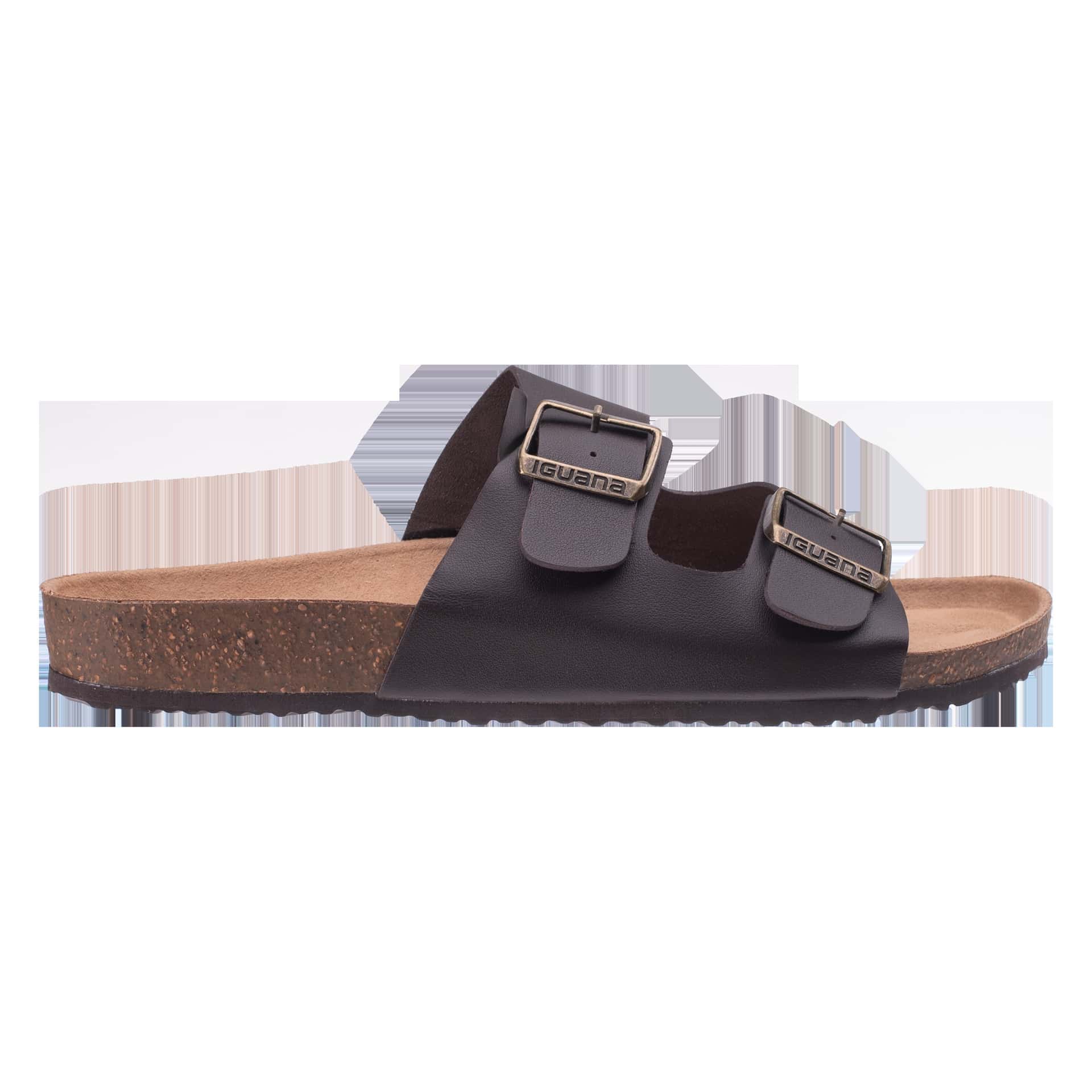 Frisso Men's Flip-Flops - Comfortable Summer Footwear