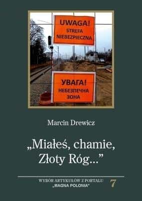 Marcin Drewicz - Selection of articles and essays - reflections on Poland