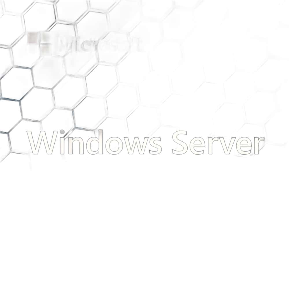 Microsoft Windows Server Standard 2025 - 64-bit EN DVD 16 core OEM