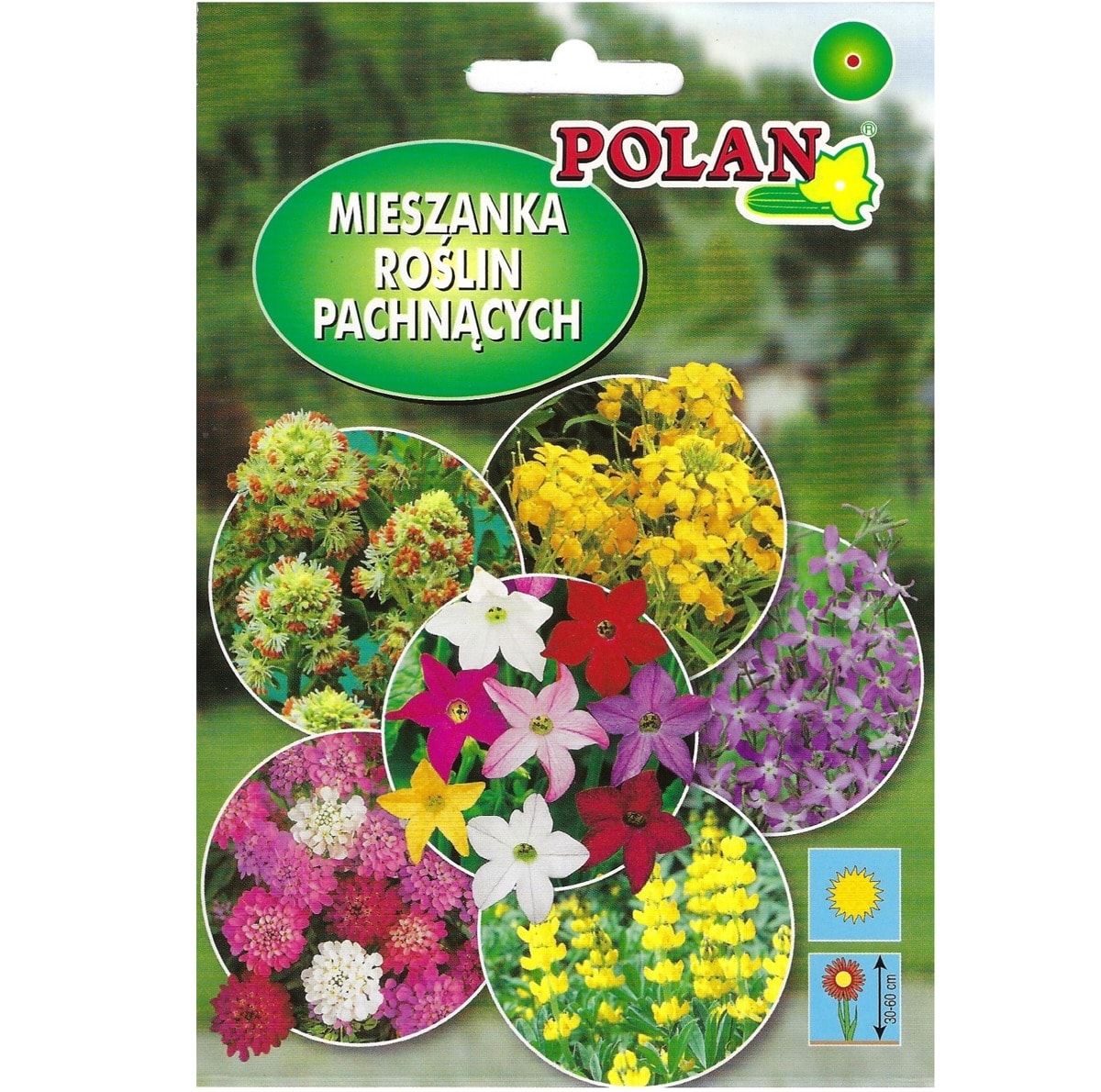 PlantiCo Fragrant Plants Mix - create a fragrant garden