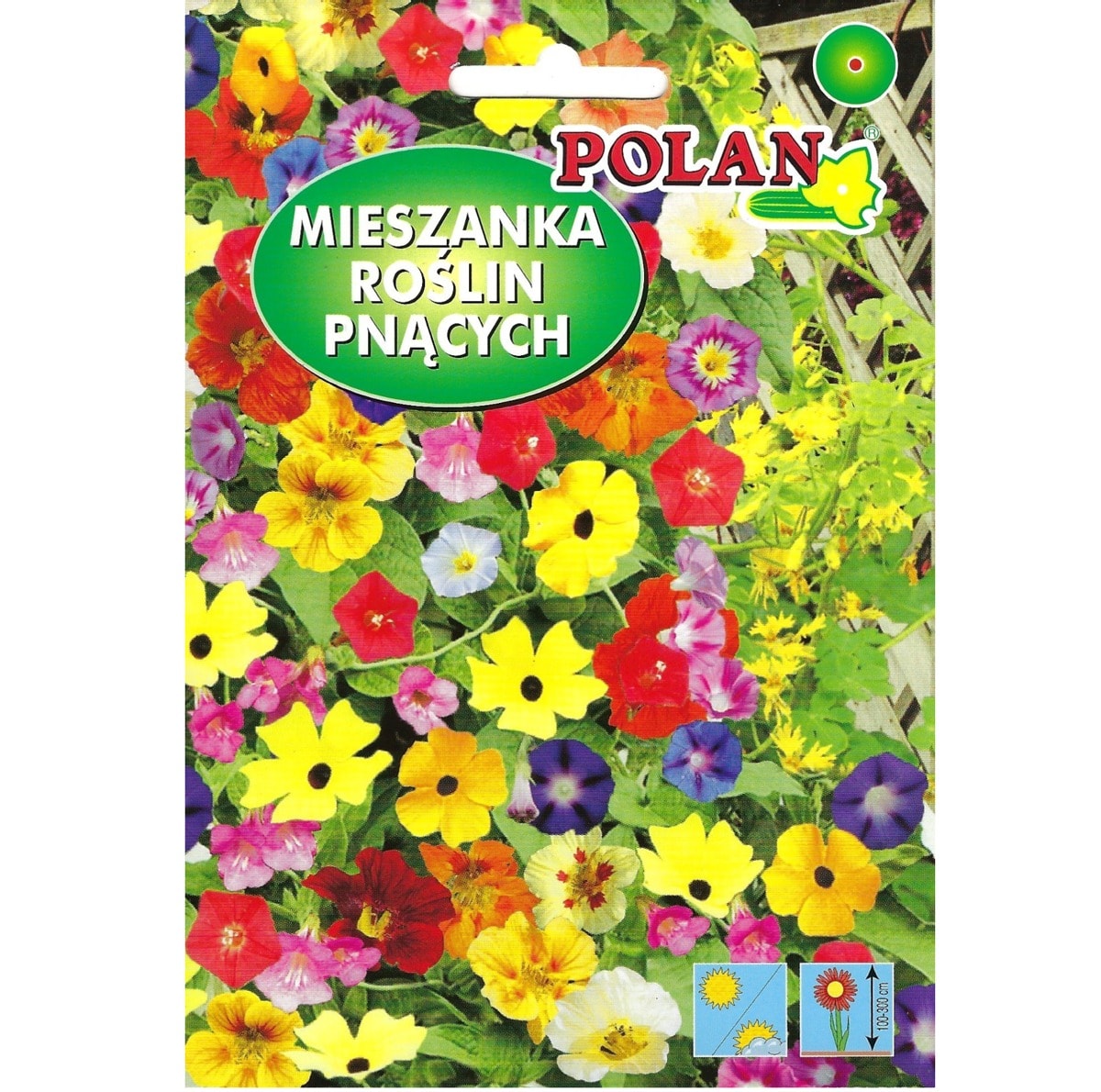 PlantiCo Climbing plant mix - ideal for garden and balcony