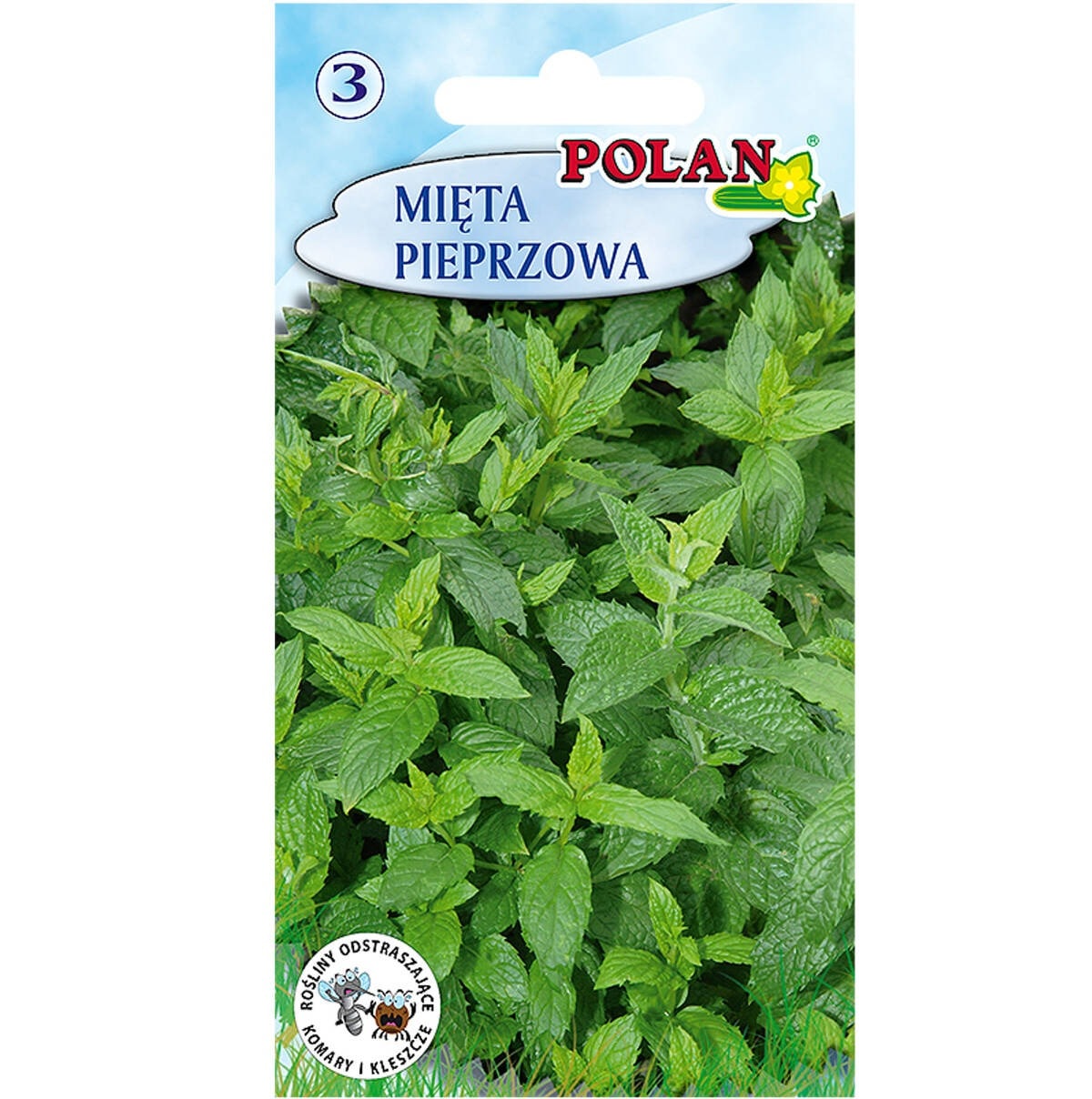 Peppermint - Dried, refreshing for colds and digestion