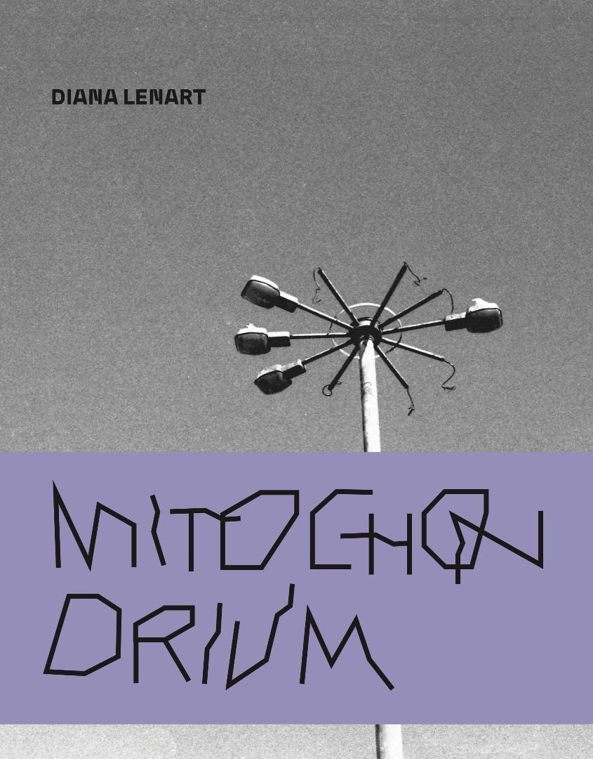 Diana Lenart - Mitochondrium - poetry full of emotion and reflection