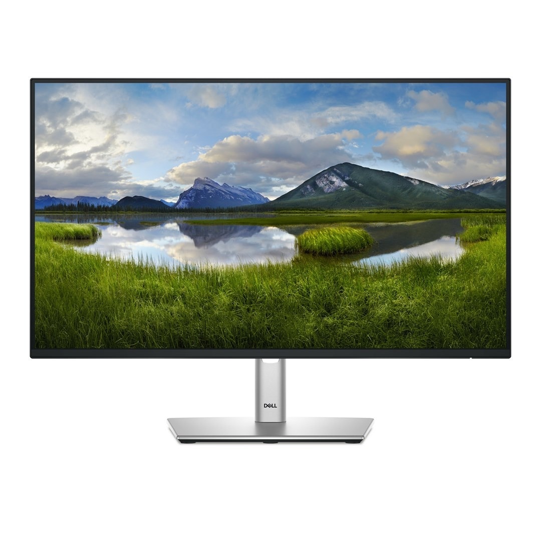 Dell LED Monitor 24" P2425H - perfect for work and entertainment